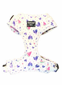 ADJUSTABLE HARNESS - WATERMELON GRAPE SQUEEZE - BIT OF TOUCH