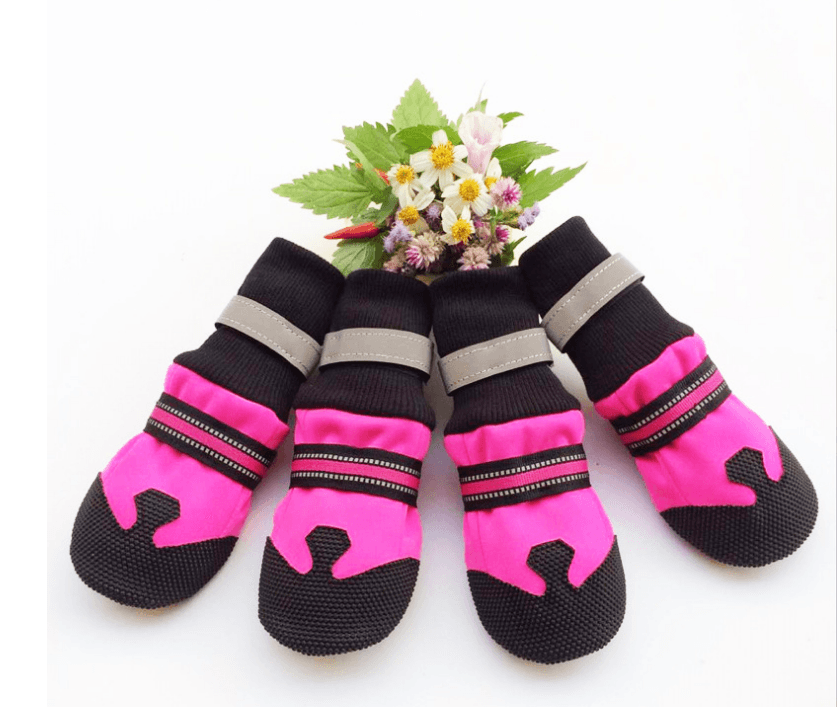 Ultimate Paw Protectors: Waterproof Dog Boots For Active Pups - BIT OF TOUCH